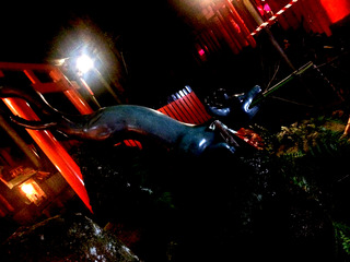 04.jpg