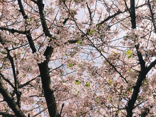 2016-04-06 09.08.39.jpg