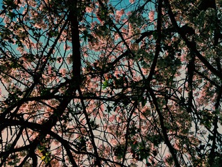 2016-04-06 09.09.03.jpg