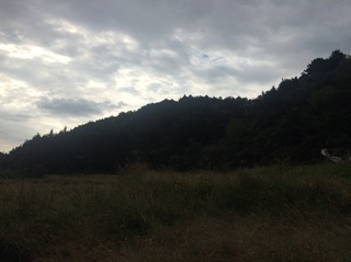 2016-10-08 08.12.17.jpg