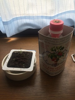 2017-07-13 10.38.41 HDR.jpg