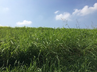 2017-08-09 09.44.11.jpg