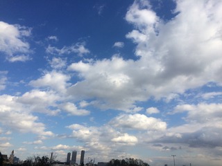 2017-11-24 13.09.42.jpg