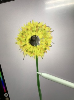 S__44392495.jpg