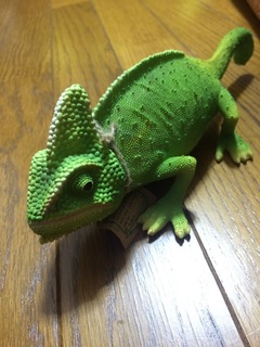image.jpeg
