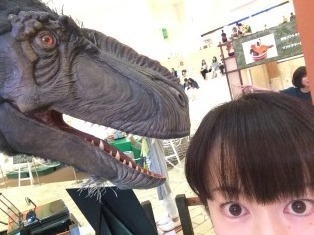 1605123.jpg