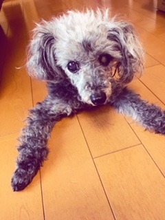 1806071.jpg